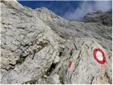 end of road on Pokljuka - Triglav